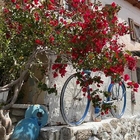 Apartmán Old Town Charm *