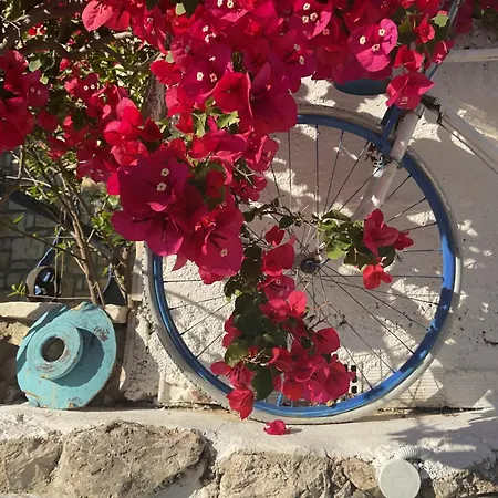 Old Town Charm
