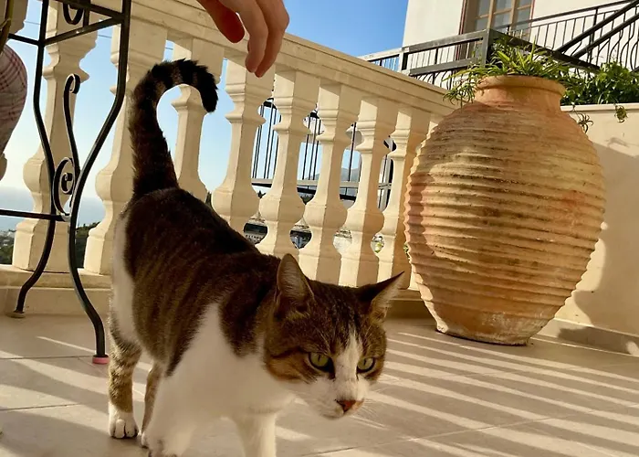 Old Town Charm Dhërmi